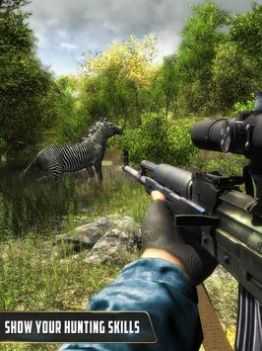 动物猎人丛林狙击手射击游戏